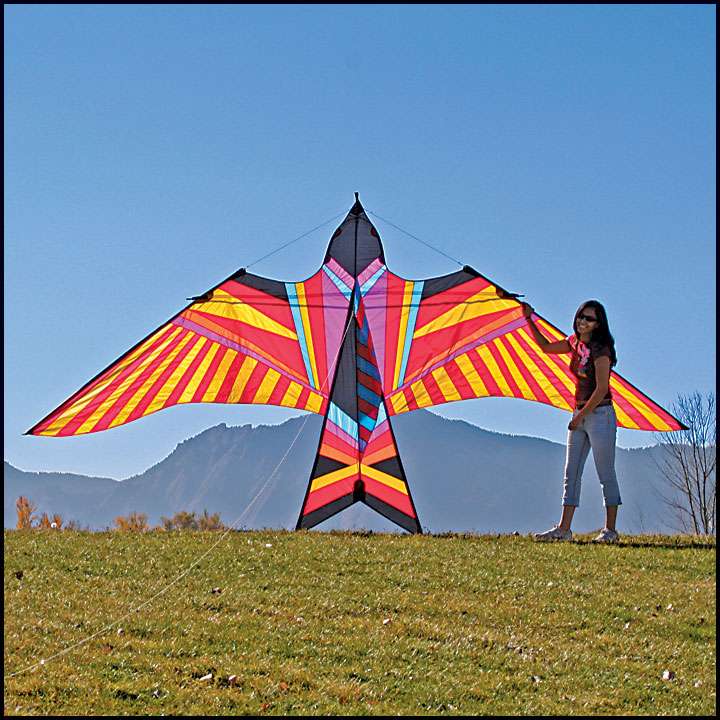 ITW 5m Aloha Sky bird Giant kite