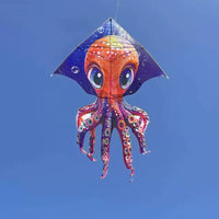 Thumbnail for 1m Octopus Kite