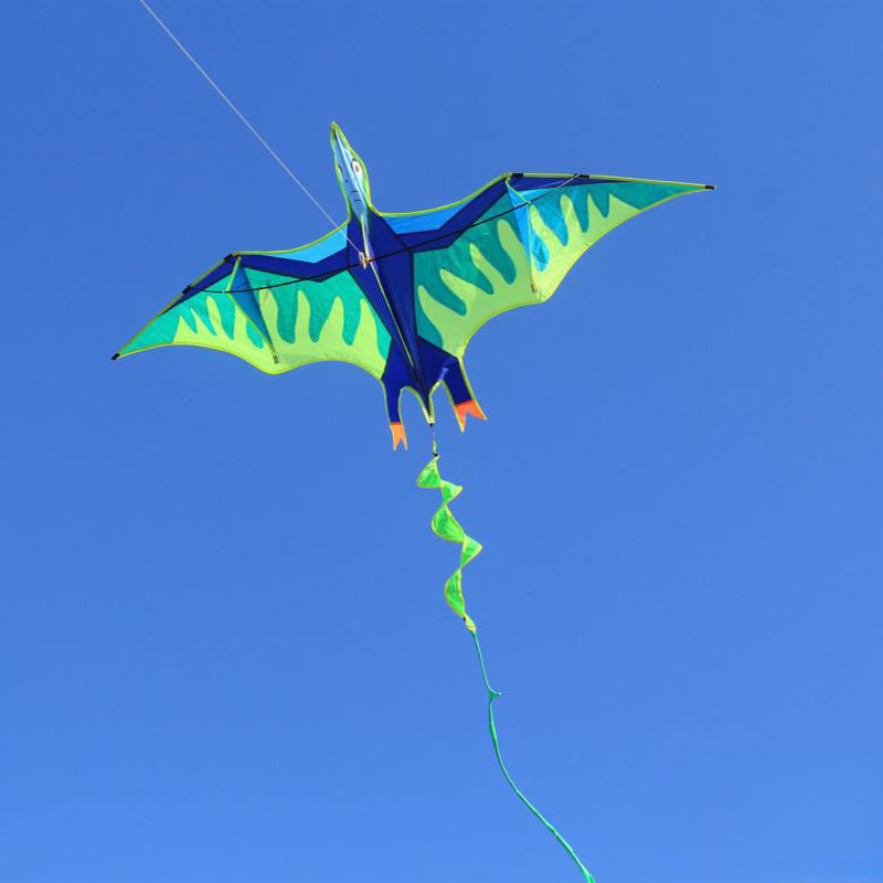 2.7m Giant Ice Pterodactyl Kite – Kite Culture