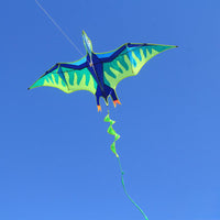 Thumbnail for 2.7m Giant Ice Pterodactyl Kite