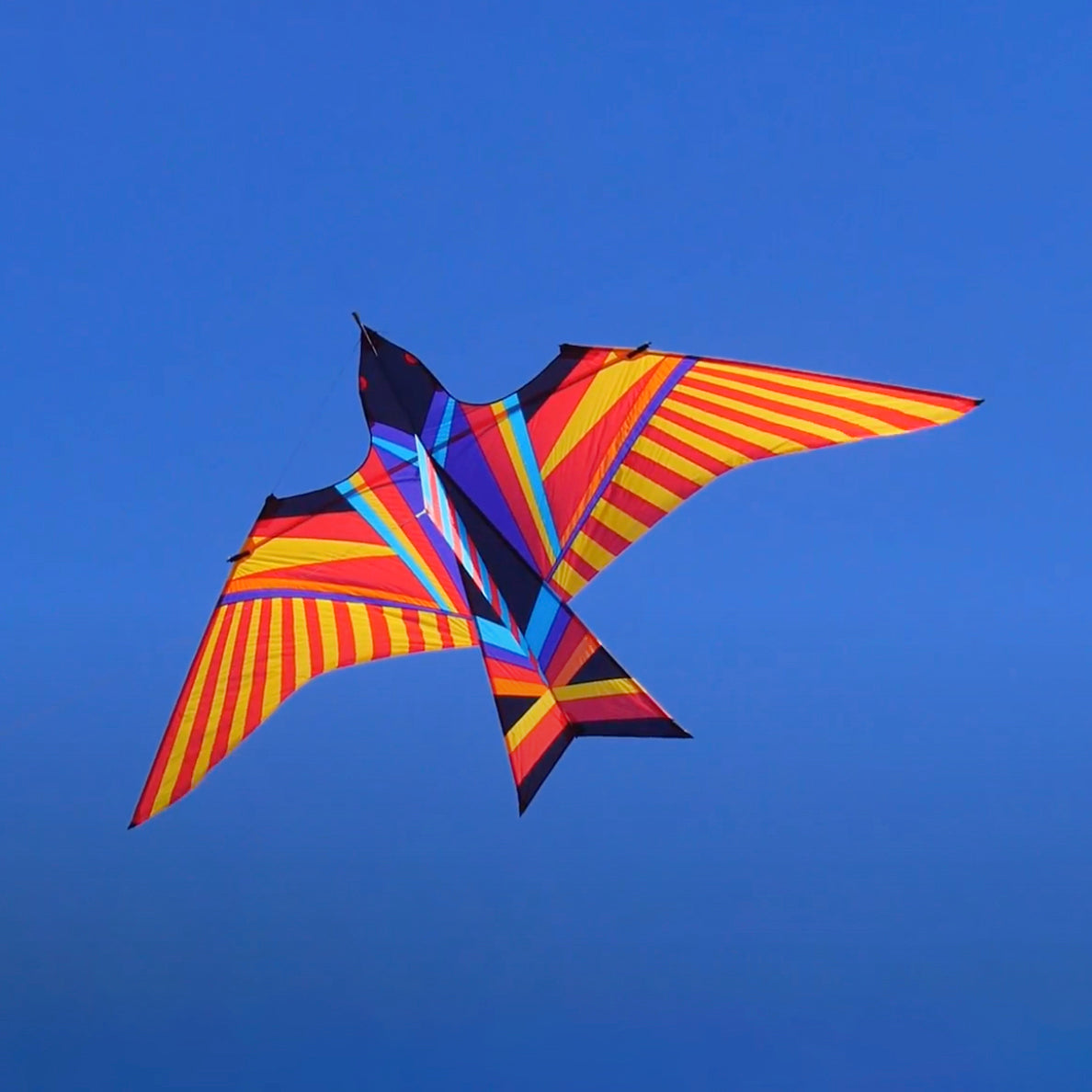 ITW 5m Aloha Sky bird Giant kite