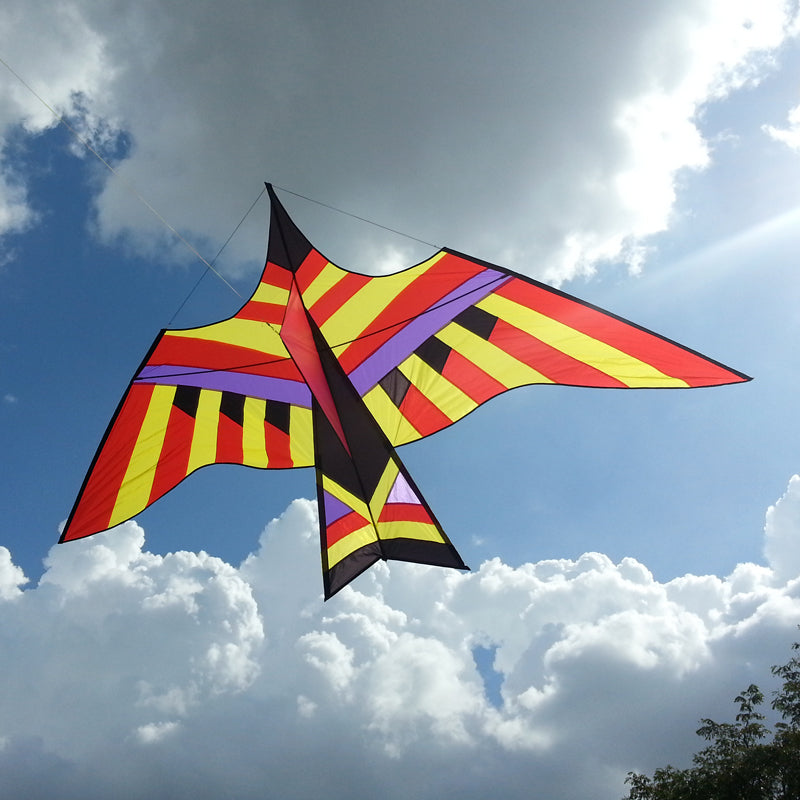 Giant Magma Bird Kite