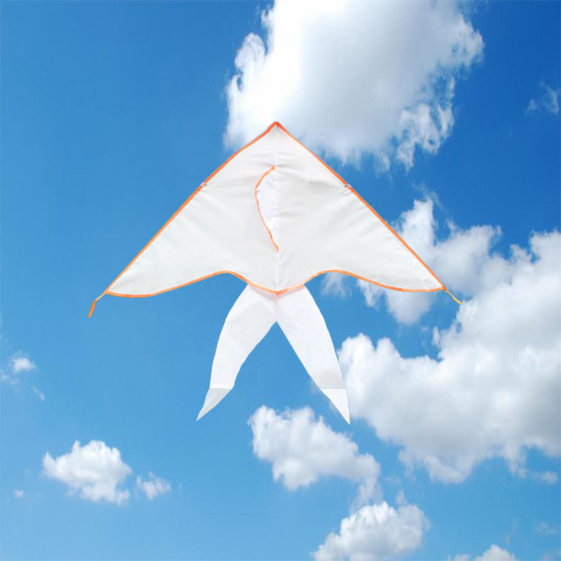 DIY Draw-it-yourself Bird Kite