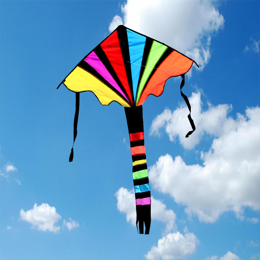 Spectrum Easy Flyer Kite – Kite Culture