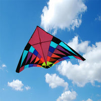 Thumbnail for 5m Giant Pink Rider Delta Kite