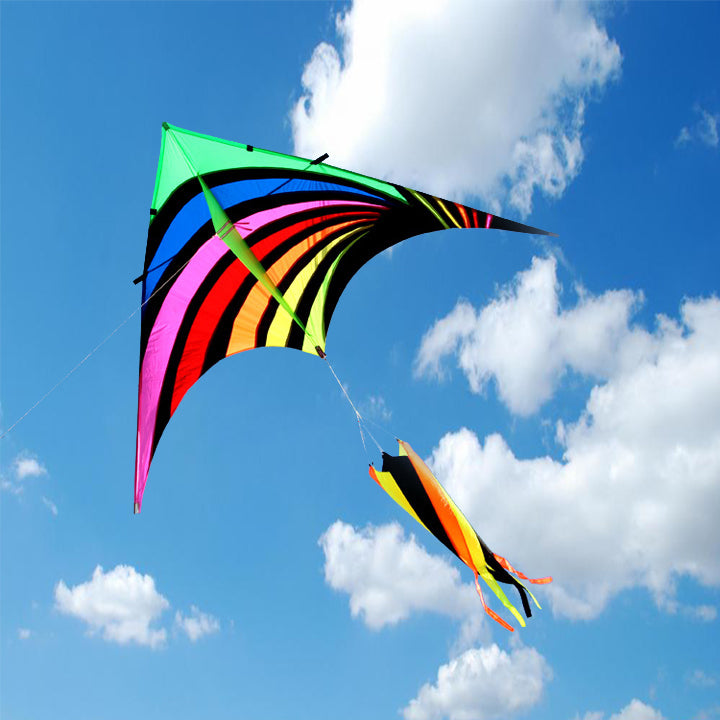 2.8m Giant Fantasy Delta Kite