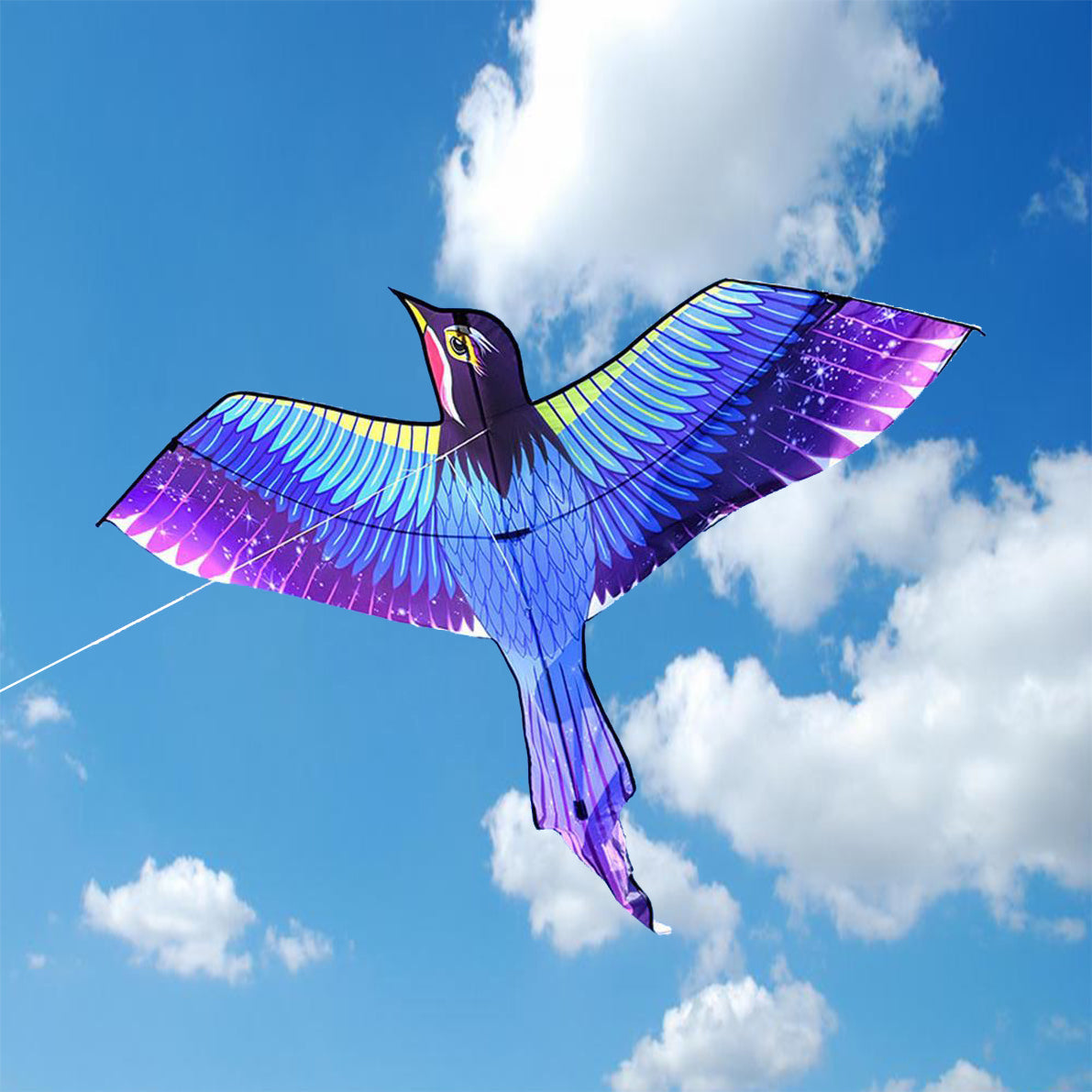 Magpie Kite